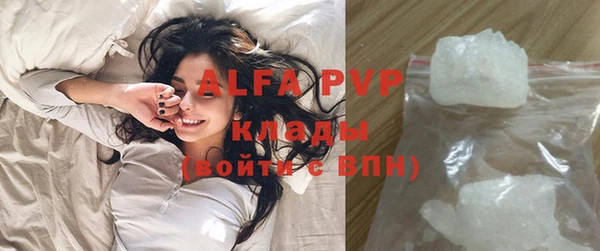 хмурый Алексин