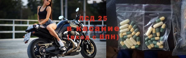 хмурый Алексин