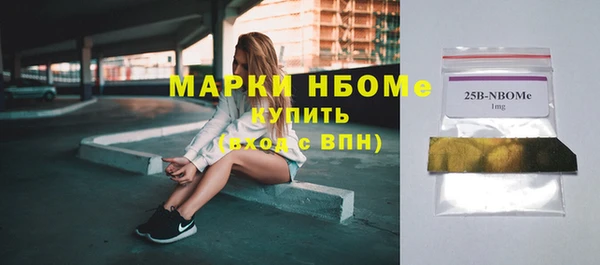 хмурый Алексин