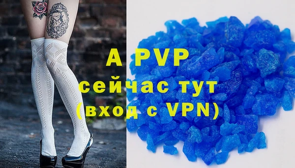 хмурый Алексин