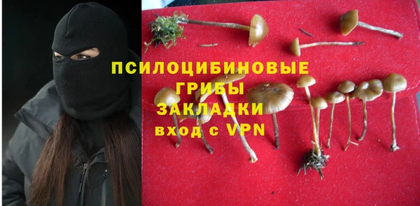 PSILOCYBIN Алексеевка