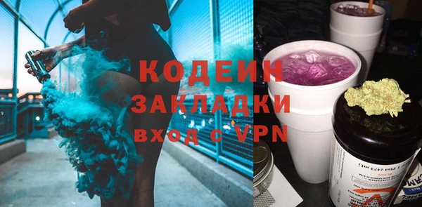 хмурый Алексин