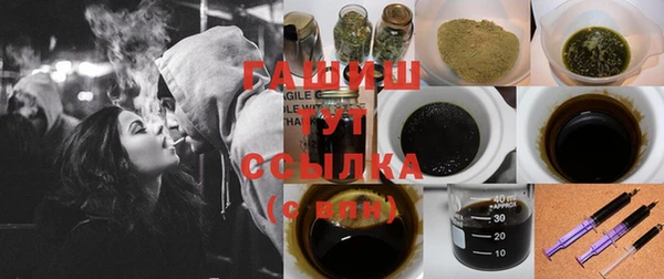 хмурый Алексин