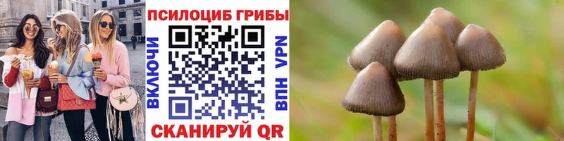 магазин  наркотиков  Юрга  Псилоцибиновые грибы MAGIC MUSHROOMS 